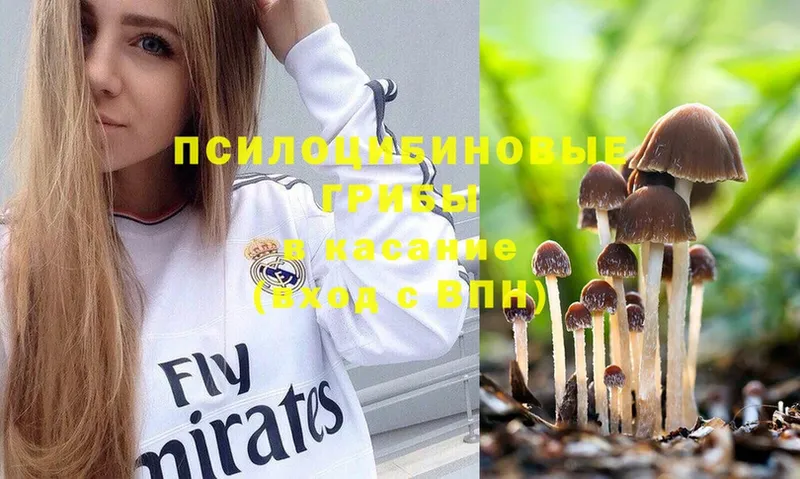 Псилоцибиновые грибы Psilocybe  купить наркотики сайты  Серпухов 